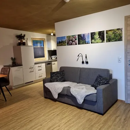 Zirbenzapfen Apartment Fuegen