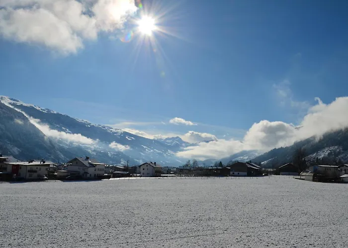 Zirbenzapfen * Fügen