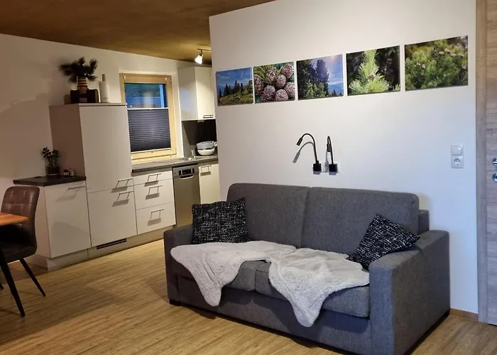 Zirbenzapfen Apartment Fuegen